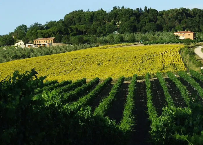 Bio Agriturismo Il Torrione Saturnia